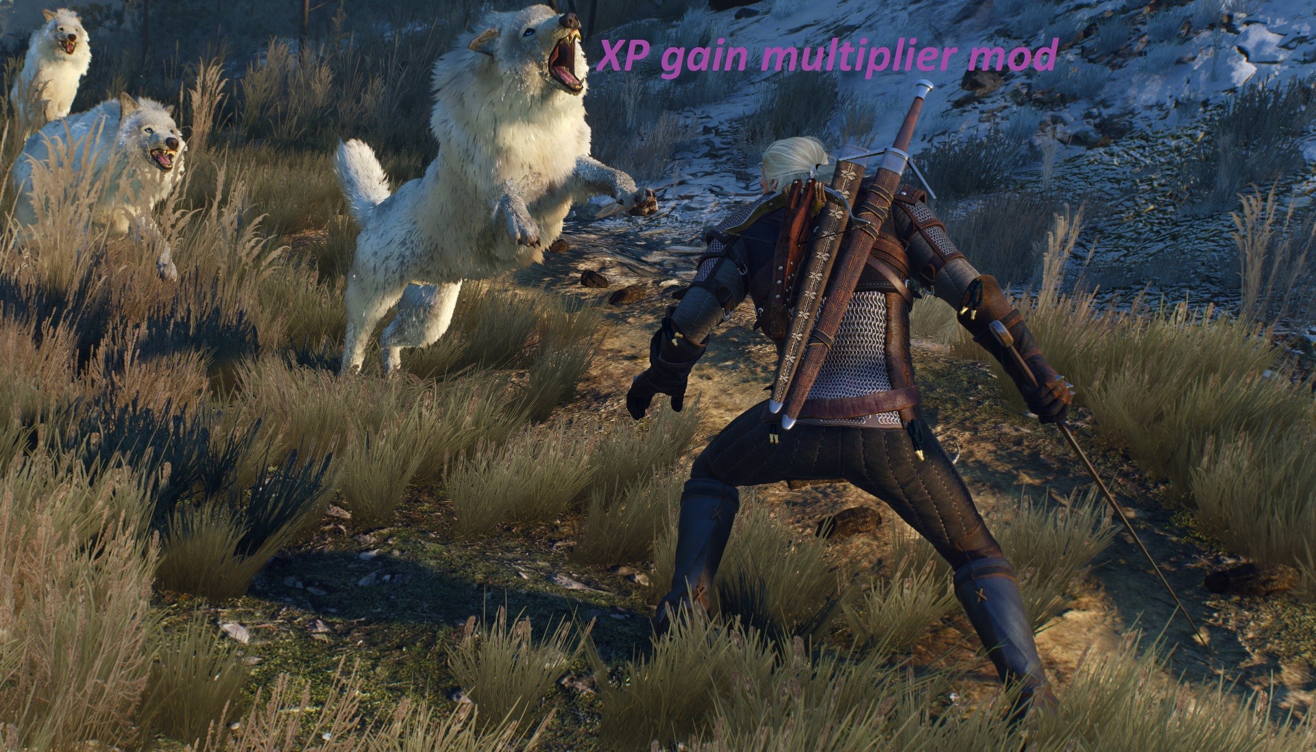 how to install mods for witcher 3